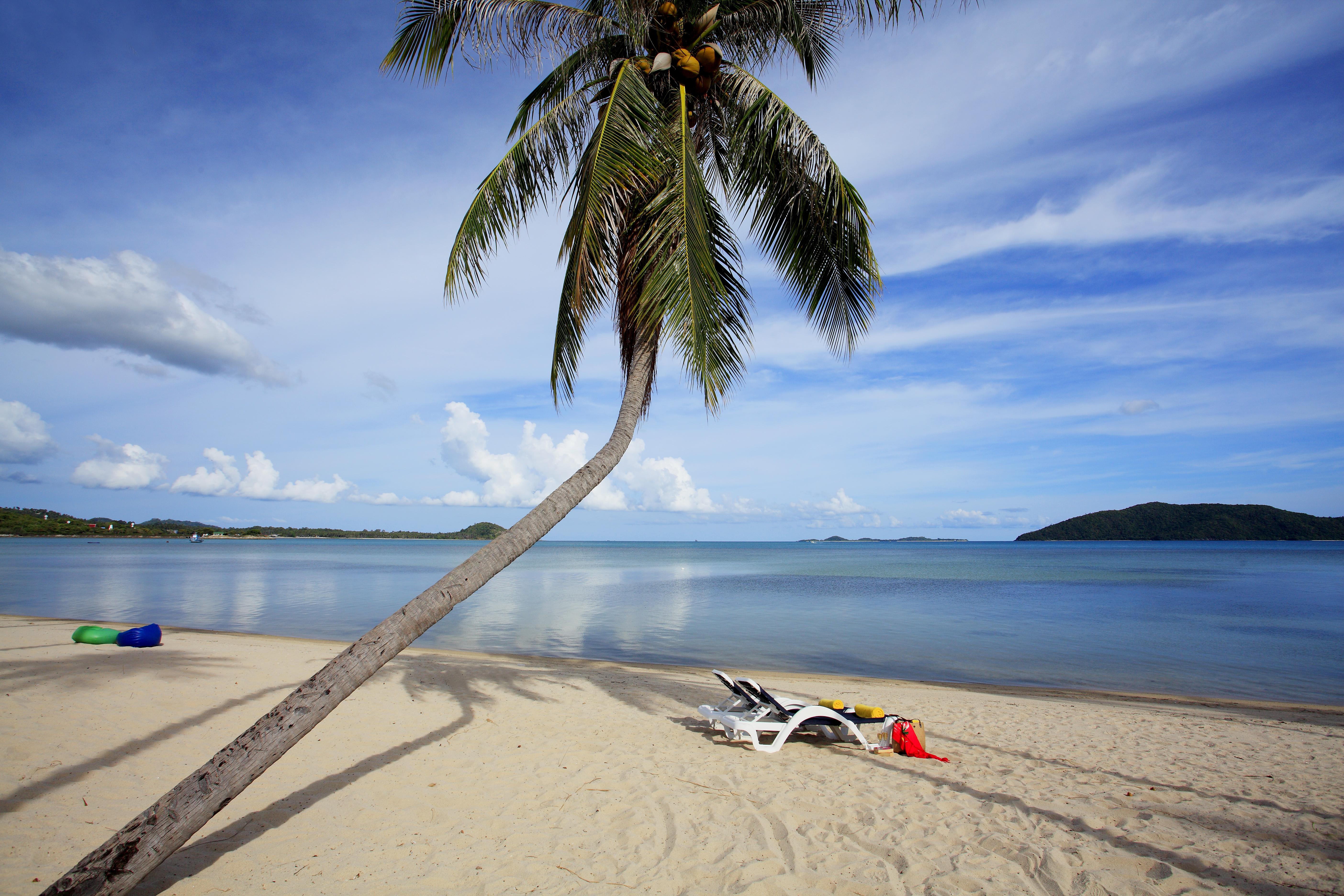 Centra By Centara Coconut Beach Samui - Sha Plus Resort