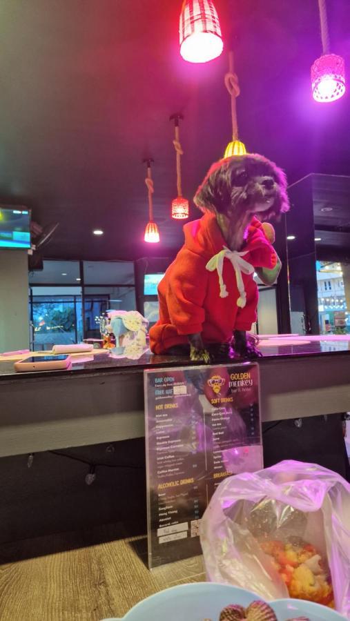 Golden Monkey Samui