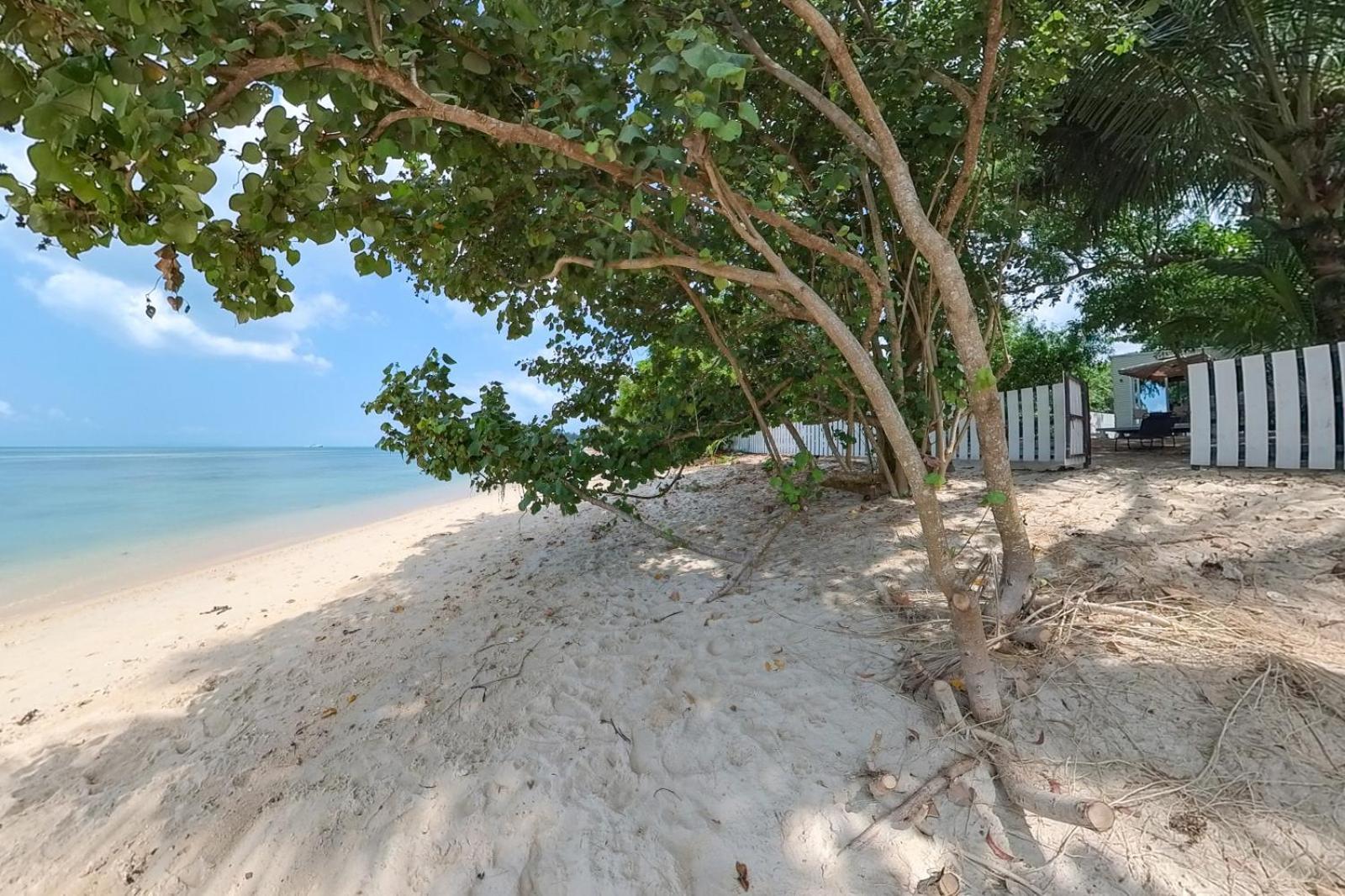 Brand New Beachfront & Secluded Tiny House Holiday home