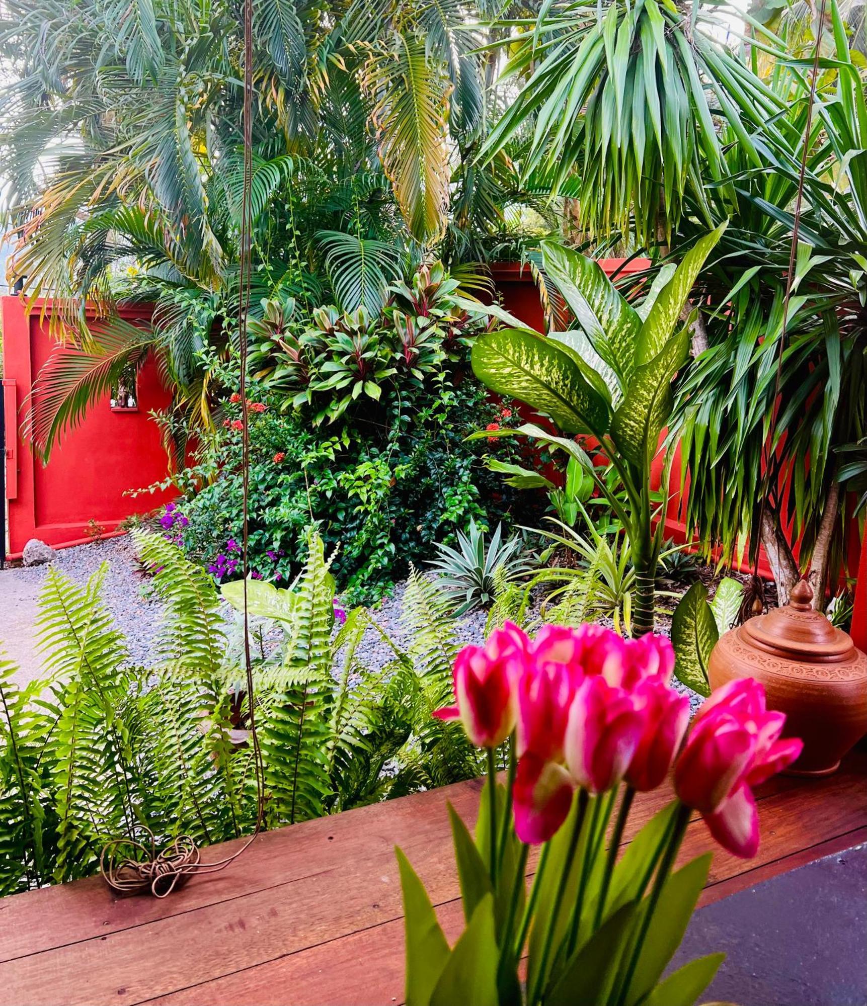 Casa de férias Jungle Pool *