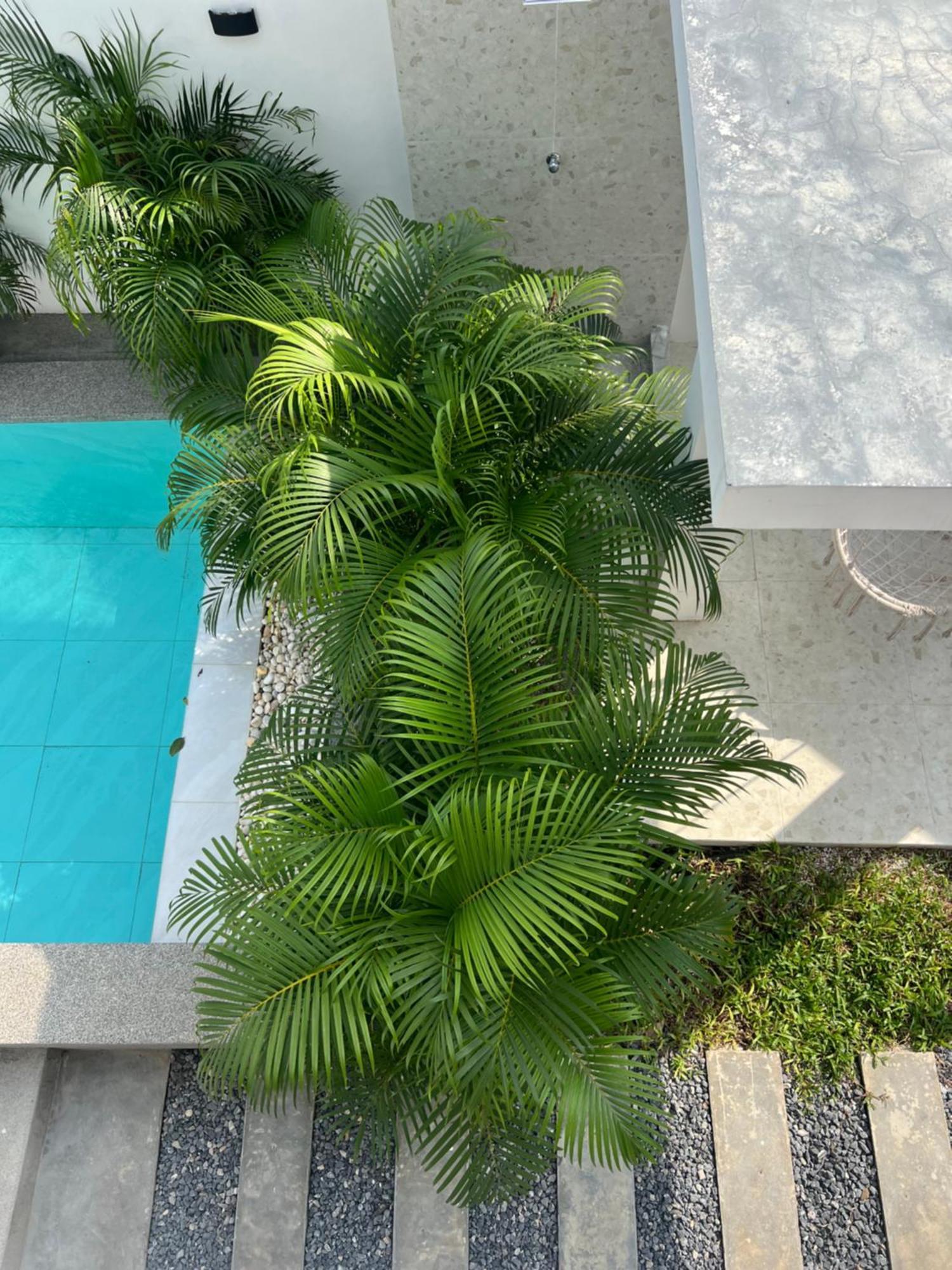 Villa Adel Sun - Beautiful Private 3 Bedroom