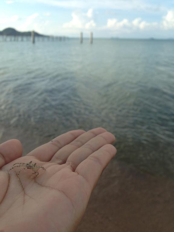 Resort Baan Sala Lung Dam - Fisherman Village Bophut