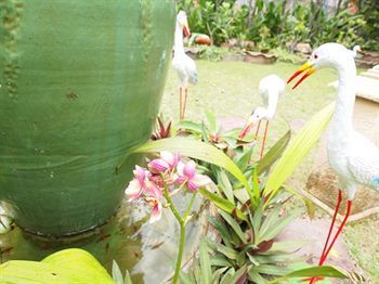Baan Sala Lung Dam - Fisherman Village Resort Bophut