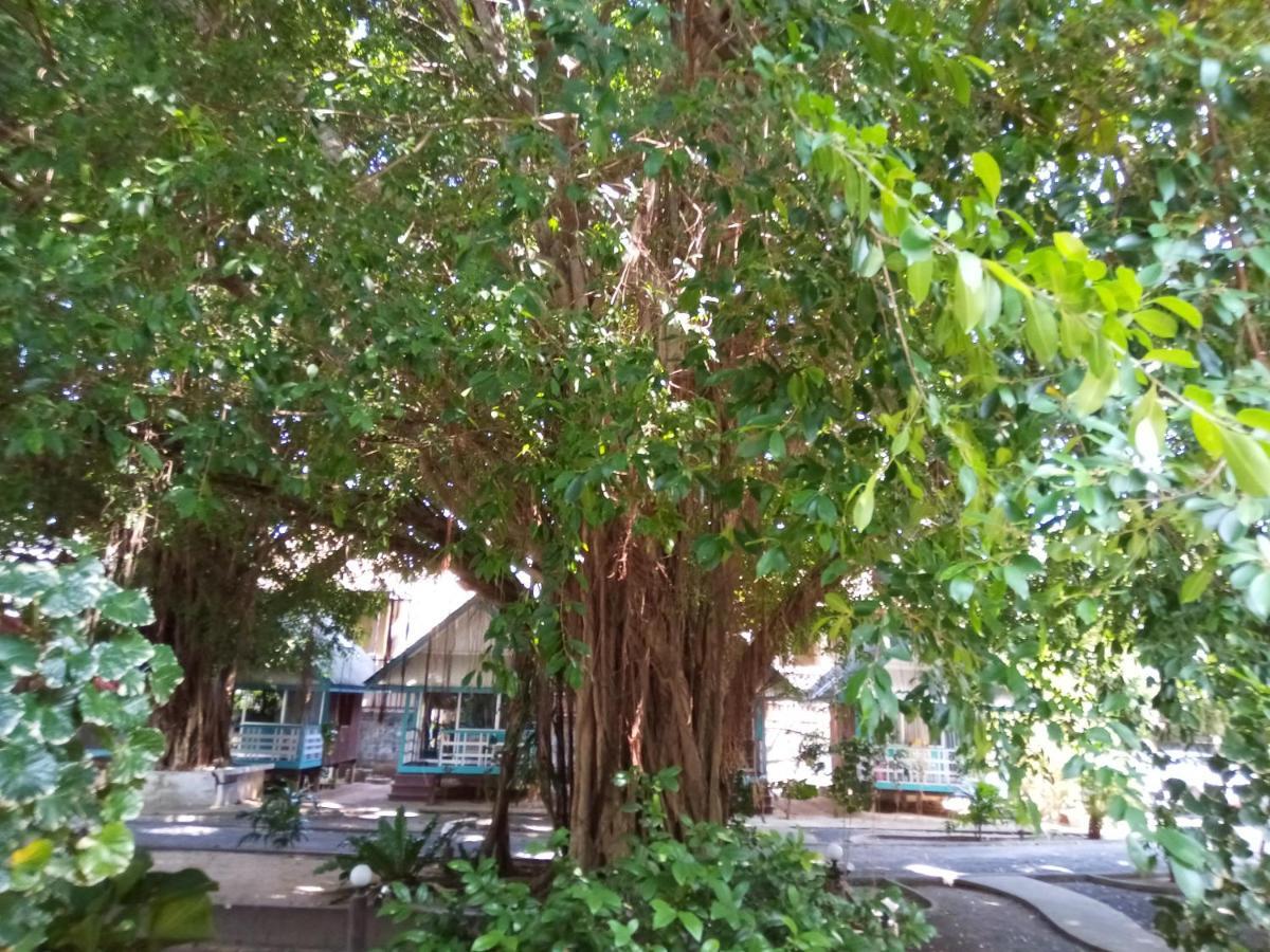 Blu' Hotel Lamai Beach (Koh Samui)