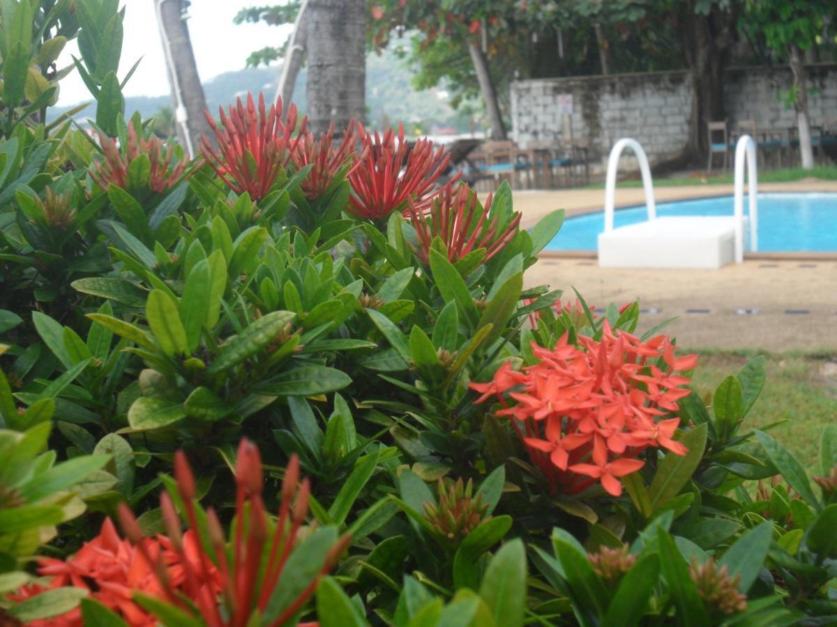 Hotel Blu' 3*