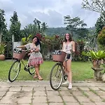 Baan Hinlad Home And Hostel (Adults Only)