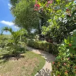Pure Beach Club Resort