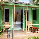 Avocado Koh Samui