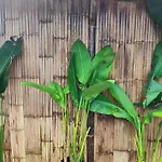 2 Bed 2 Bath Eco Home Bungalow, Bangrak Beach, Koh Samui