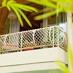 Carbana Lodge, 1 Bedroom - Eco Lodge, Koh Samui