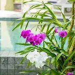Baan Suaan Serenity