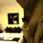 Cocooning Hotel