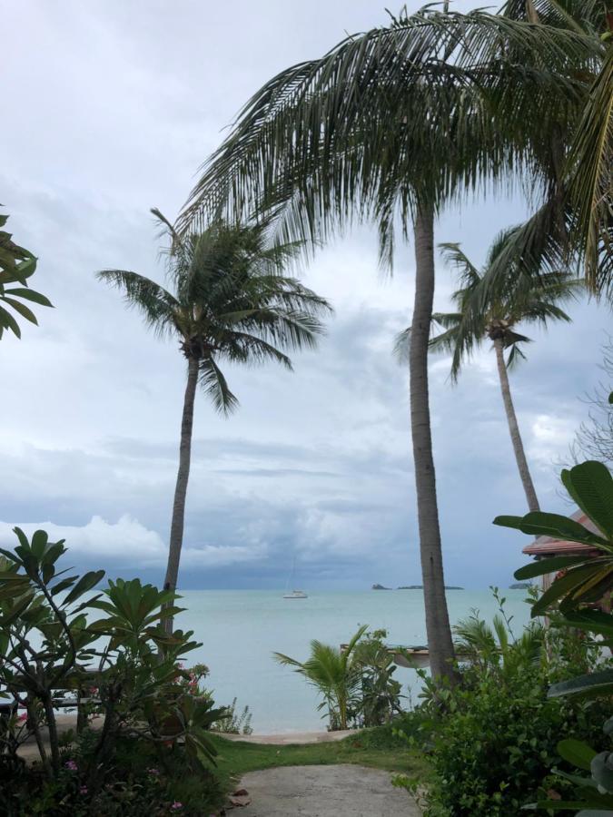 Avocado Koh Samui