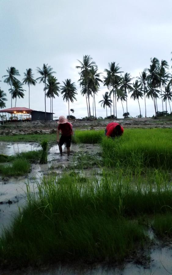 I - Talay Samui - เขา ป่า นา เล ตลิ่งงาม สมุย