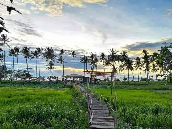 I - Talay Samui - เขา ป่า นา เล ตลิ่งงาม สมุย 3*