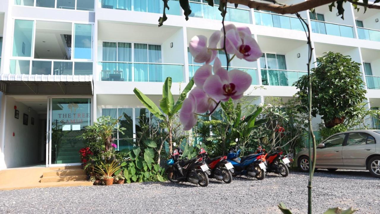 The Tree Samui Capsule hotel Bophut