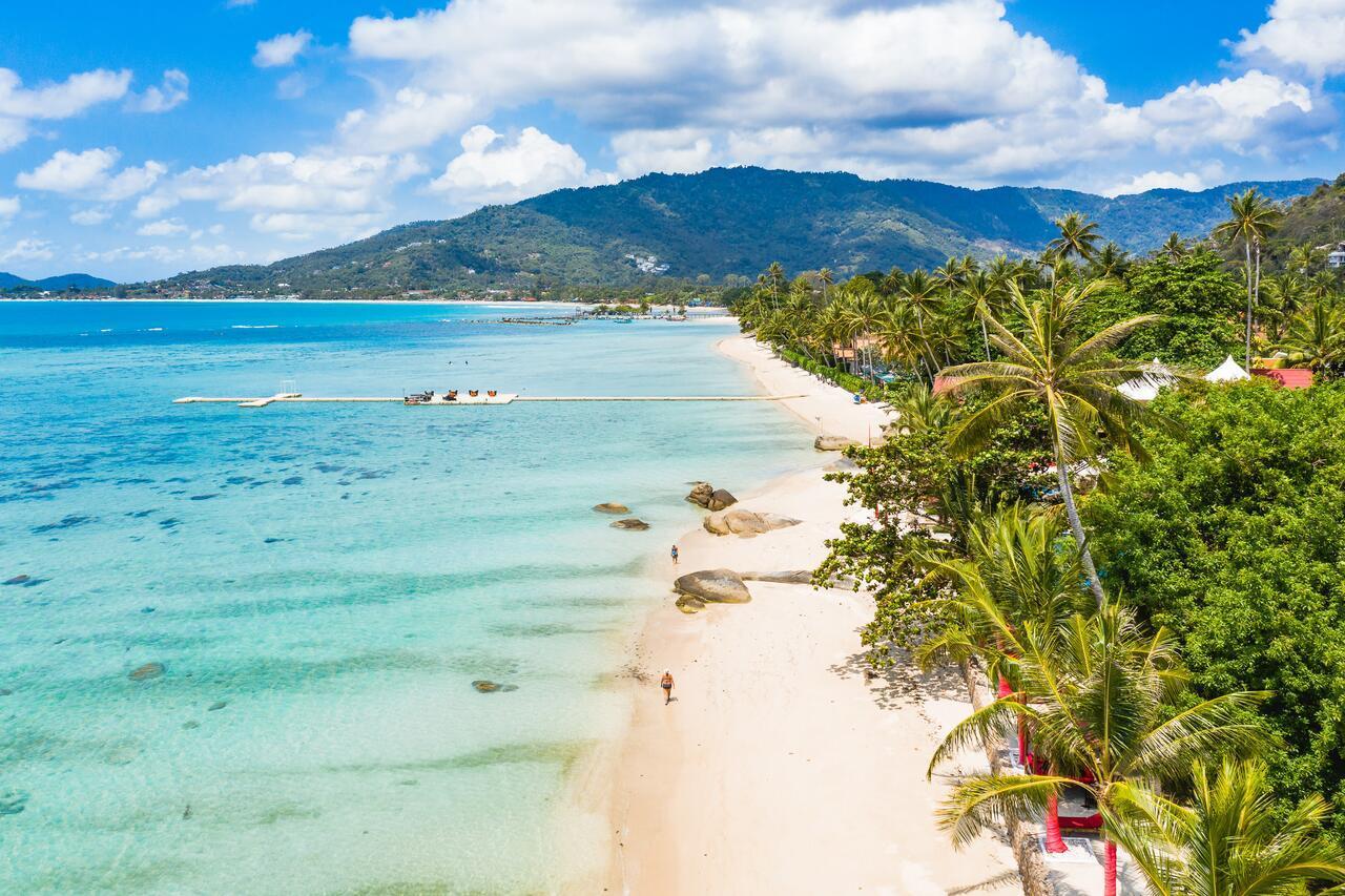 Lagoon Tropical Beach Pool I Beach - Pool - Freedom & Service Hébergement de vacances Plage de Lamai