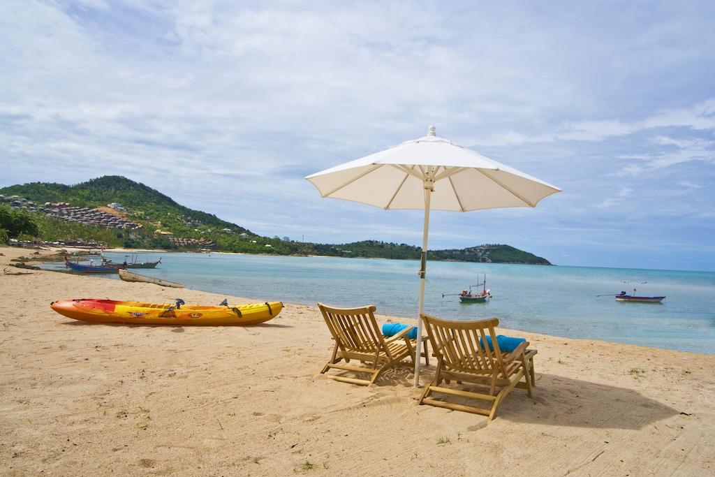 Mia Beach, And Events