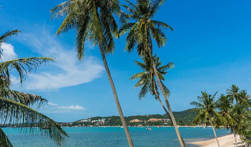 B House Samui Resort Strand Bang Rak