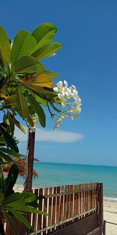 Resort Lipa Bay