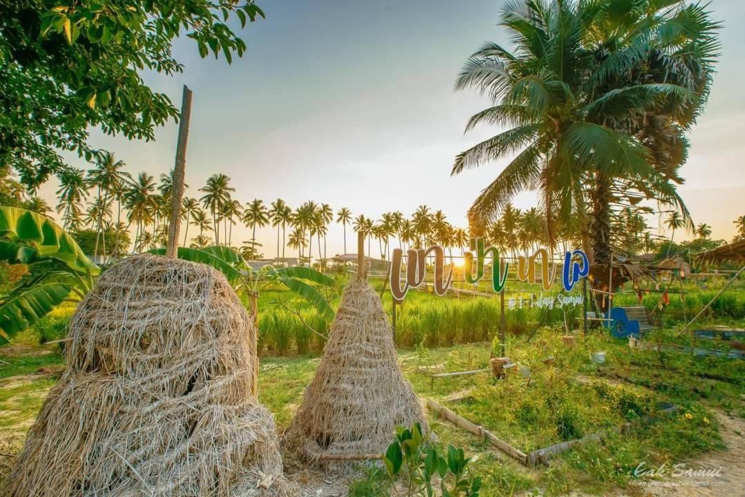 I - Talay Samui - เขา ป่า นา เล ตลิ่งงาม สมุย