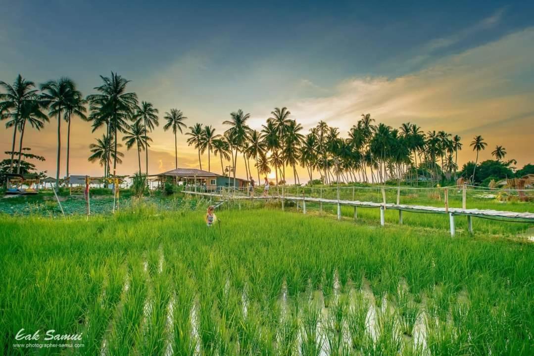 I - Talay Samui - เขา ป่า นา เล ตลิ่งงาม สมุย Taling Ngam Beach