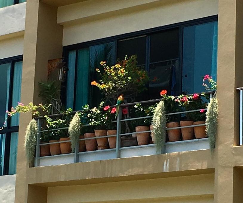 Appartement Panida@avanta