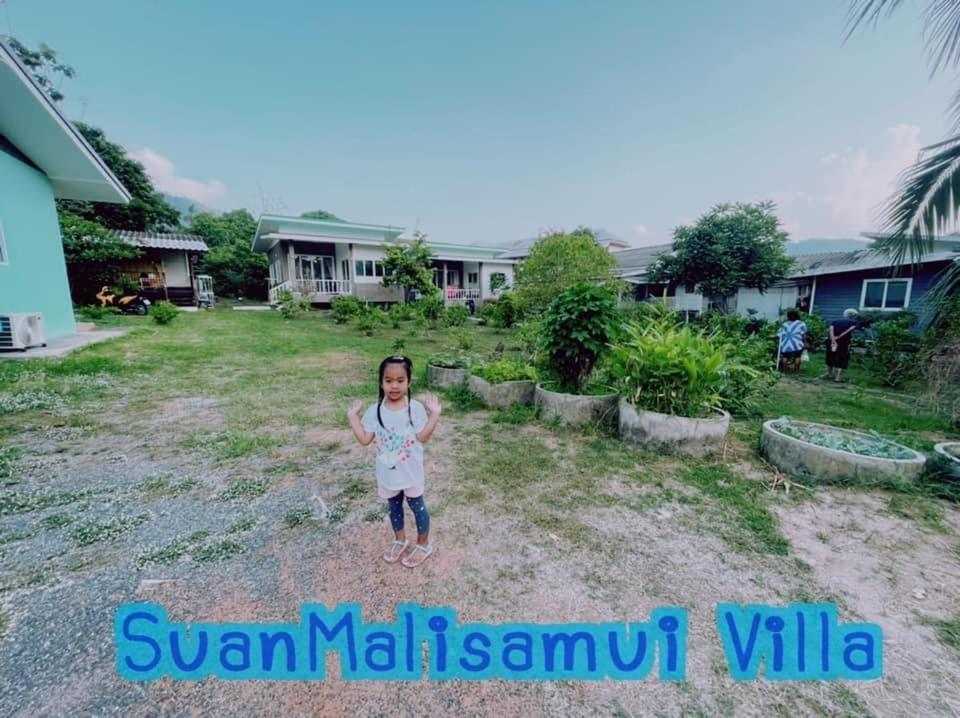 Suanmalisamuivilla G01 *