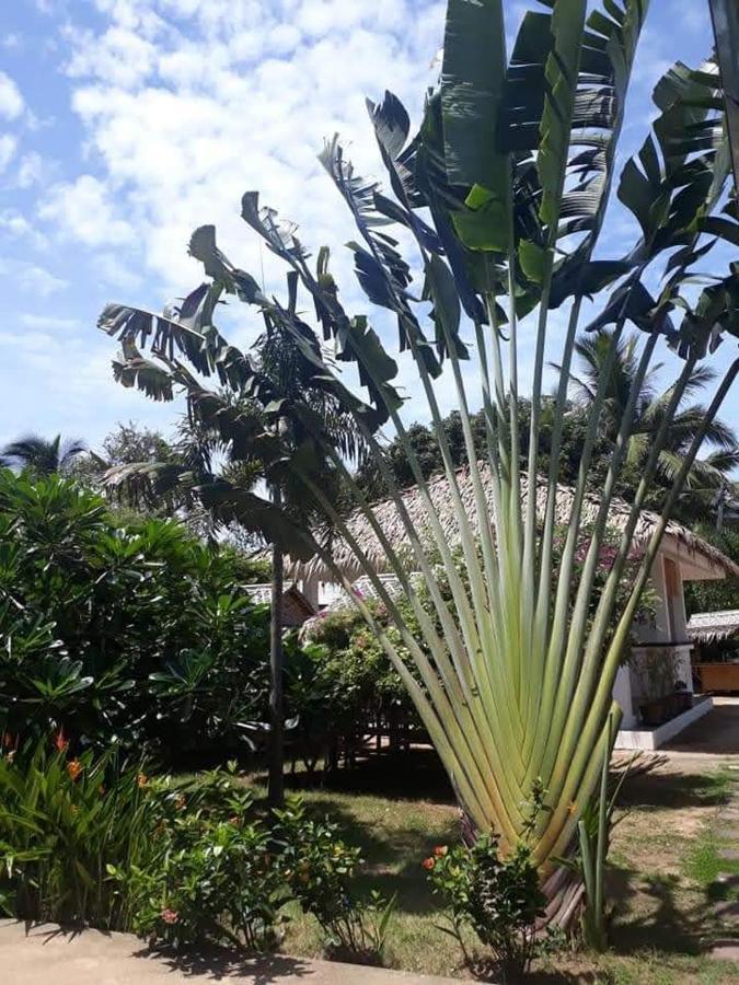 Hotel Sunya *