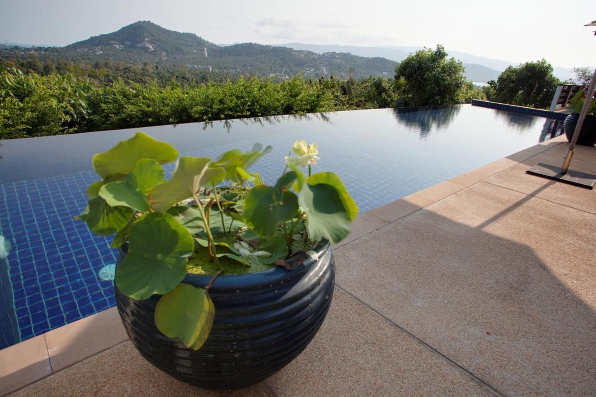 Villa Alpha - Seaview Private *