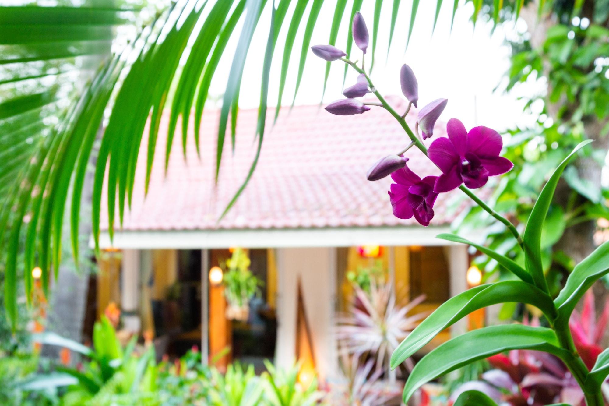 Paradise Island Estate 4*