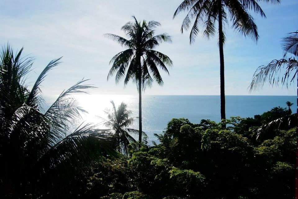 Hi Coral Cove Bungalow Lodge *