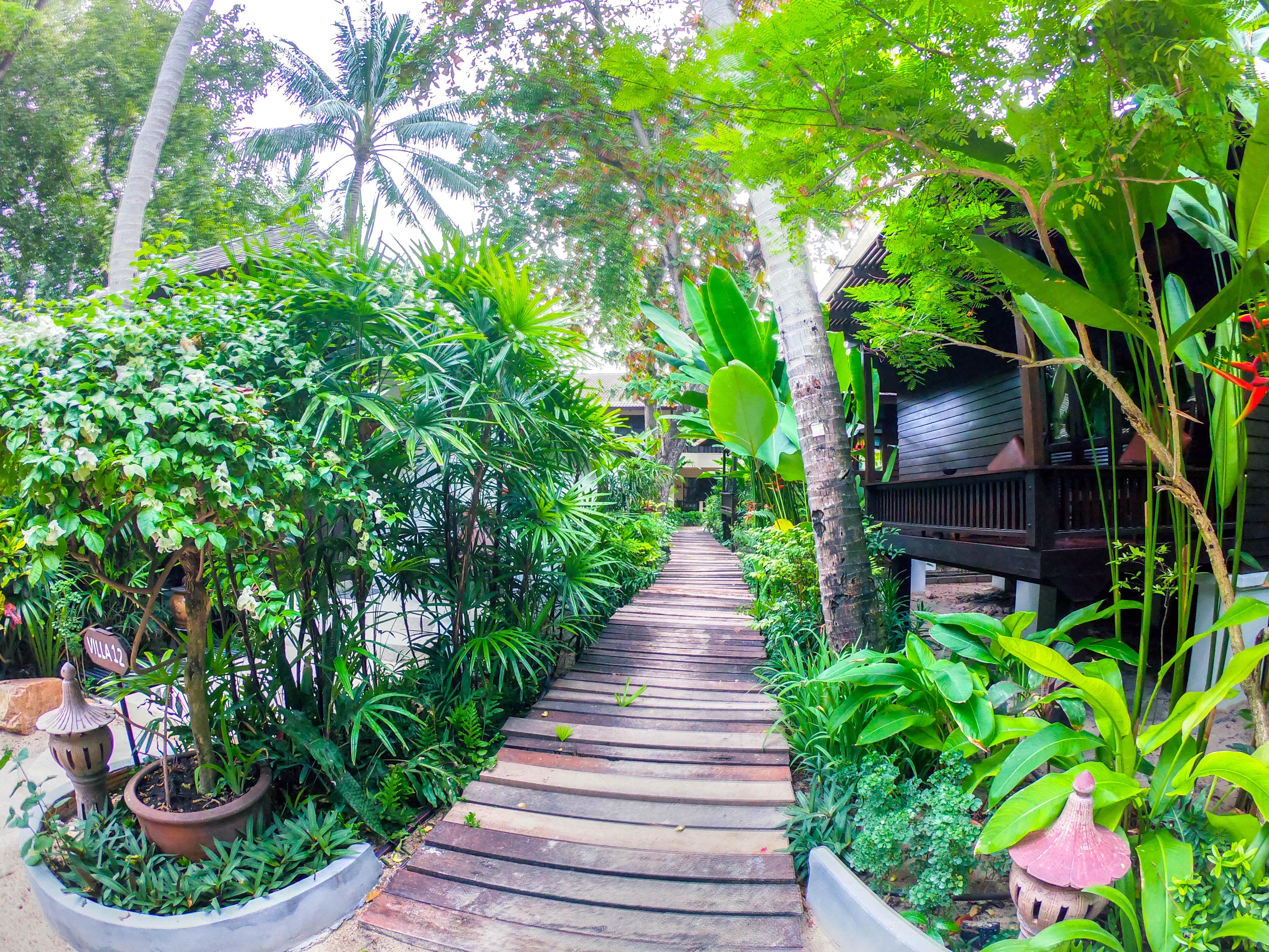 Garden - Sha 3* Chaweng