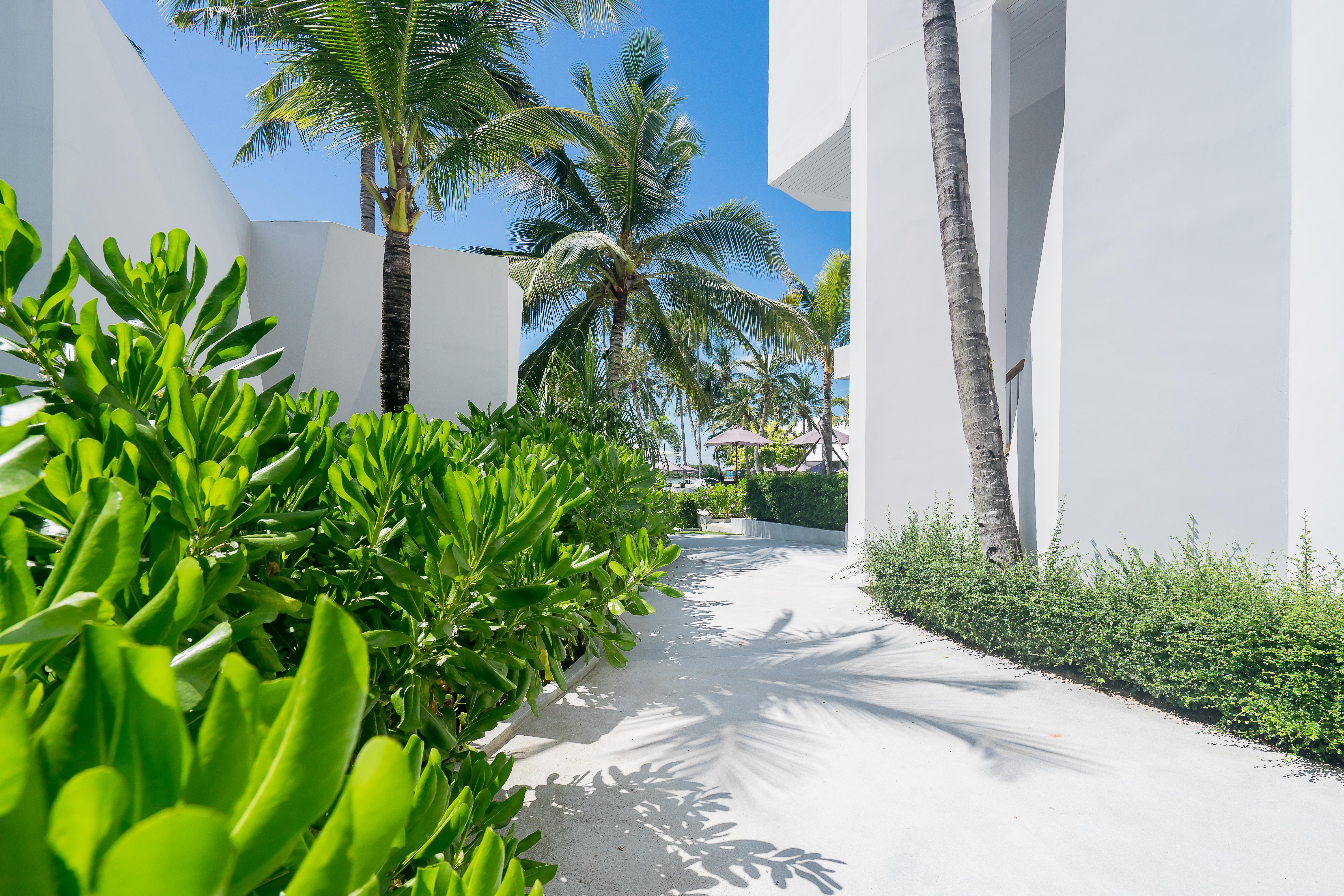 Tempat peranginan La Vida Samui 4*