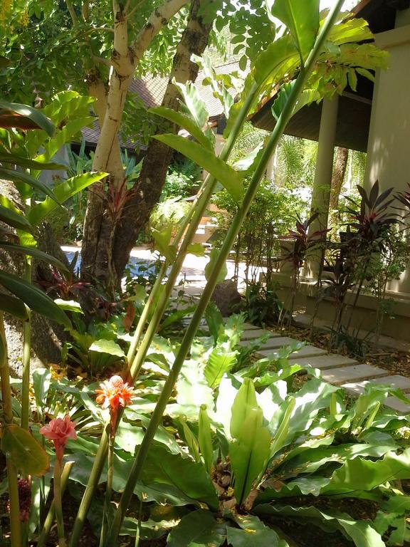 Montra Samui Thailand 4*