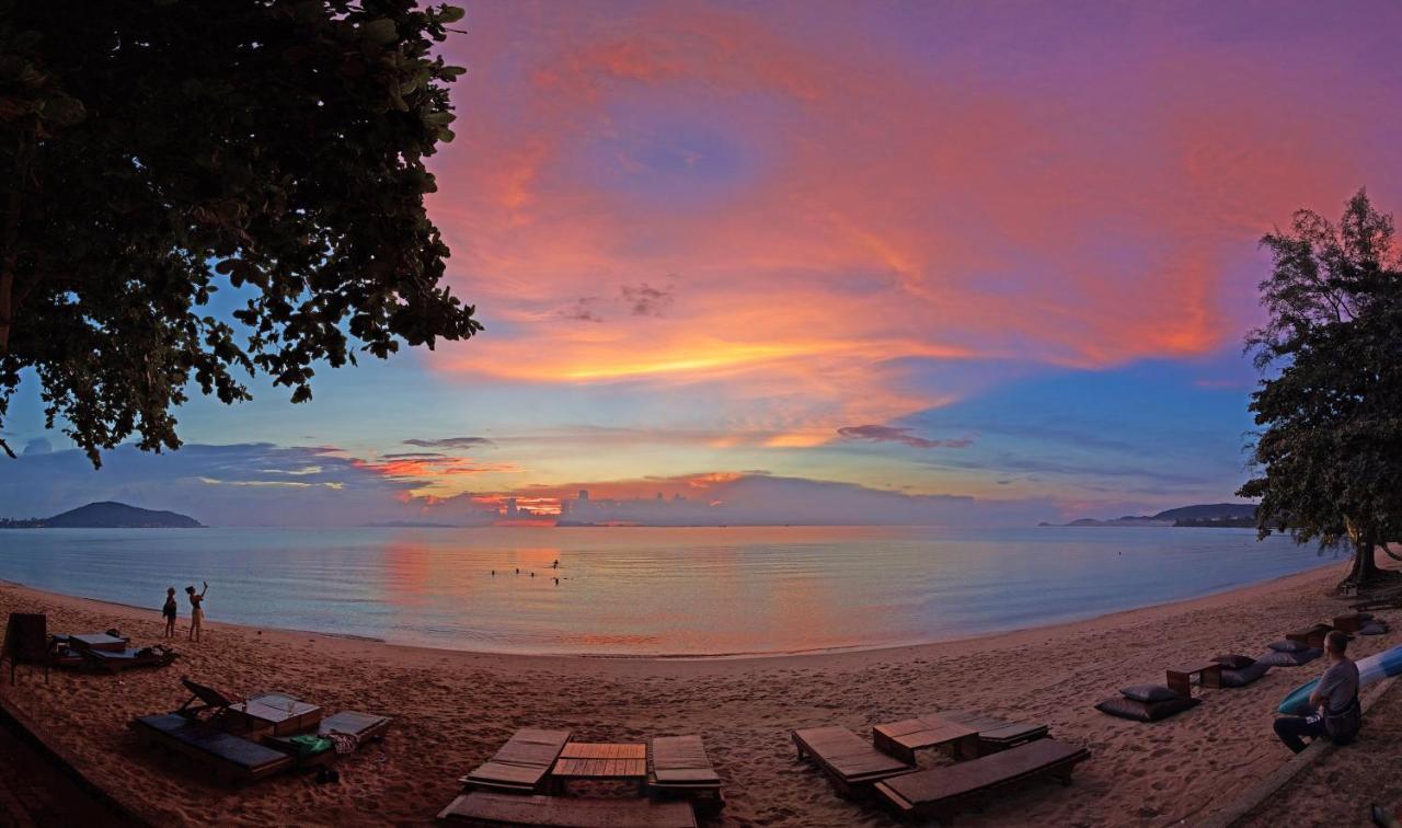 Satva Samui Yoga And Wellness Hotel Amphoe Koksamui