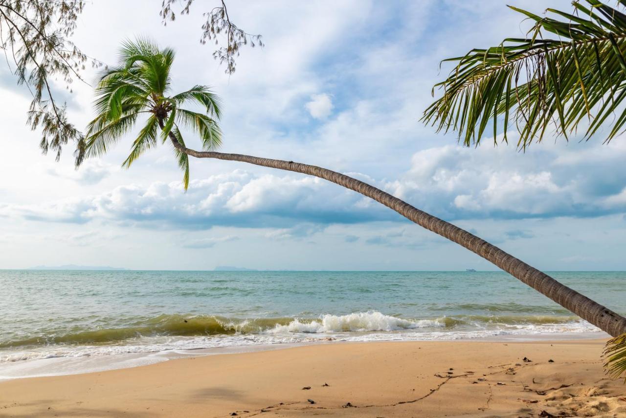 Satva Samui Yoga And Wellness Amphoe Koksamui