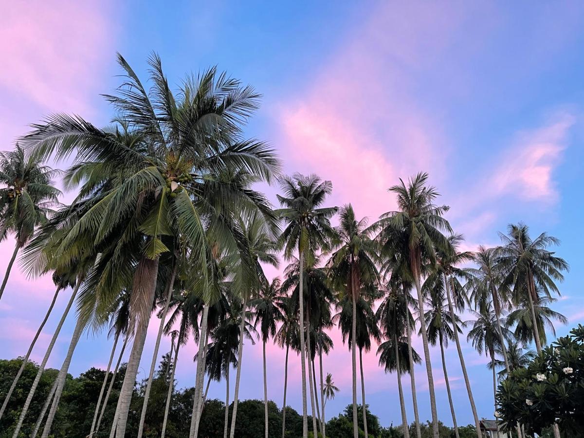 Marilyn's Koh Samui Hotel 3*