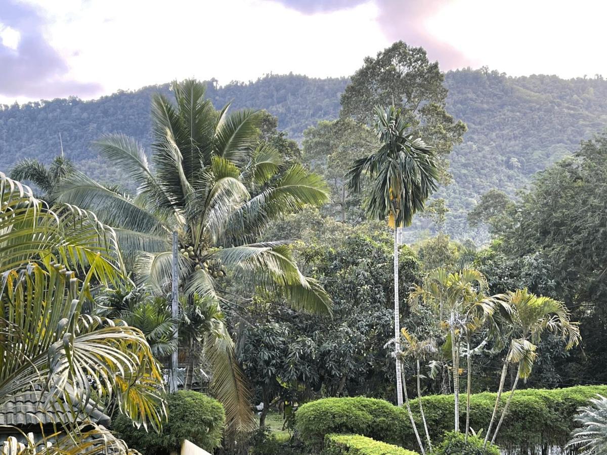 Marilyn's Koh Samui Ban Lamai