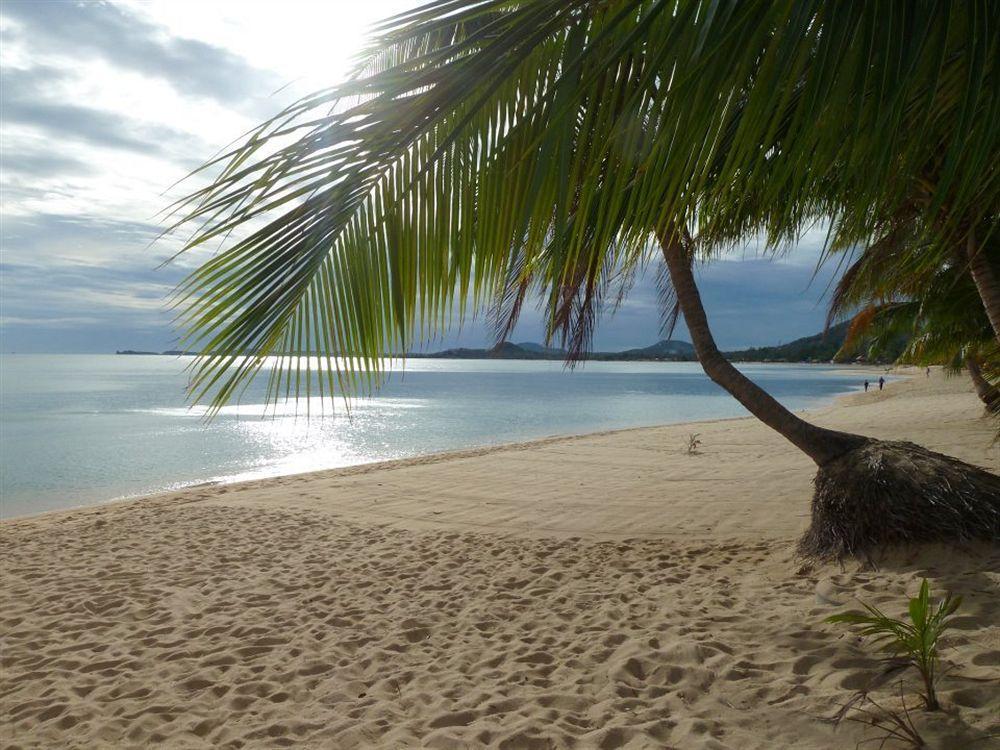 Hotel Palm Point Village Koh Samui