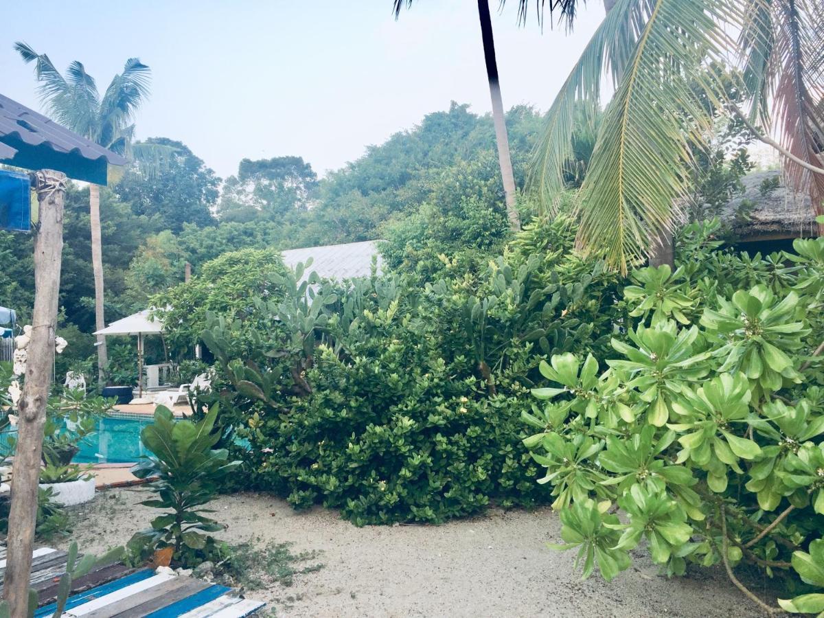 Hotel Lamai
