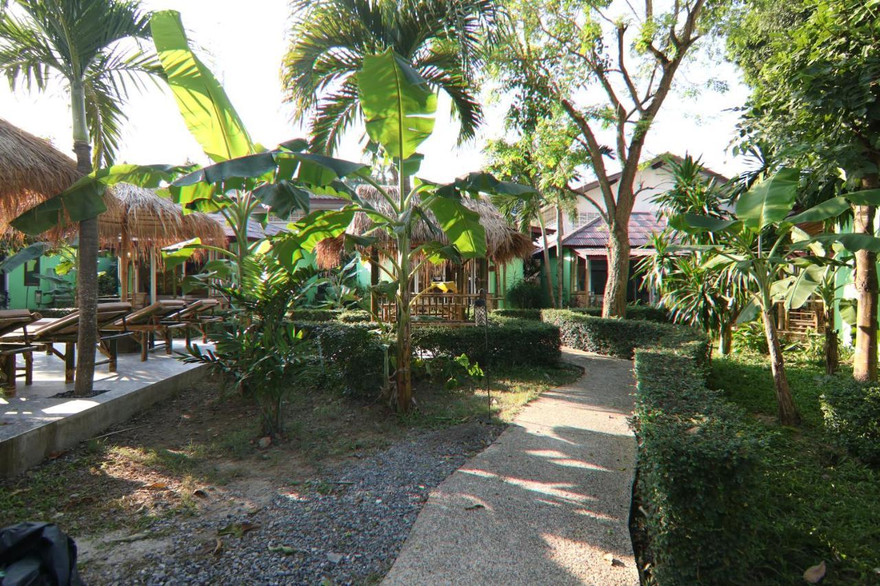 Avocado Koh Samui