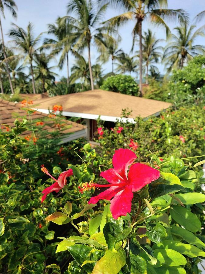 Orchid Samui - *