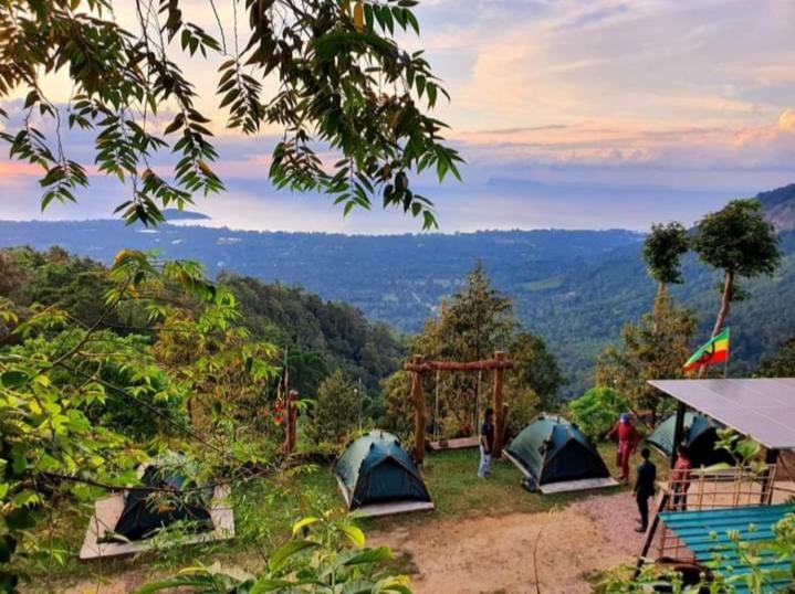 Phulipa Jungle Camp *