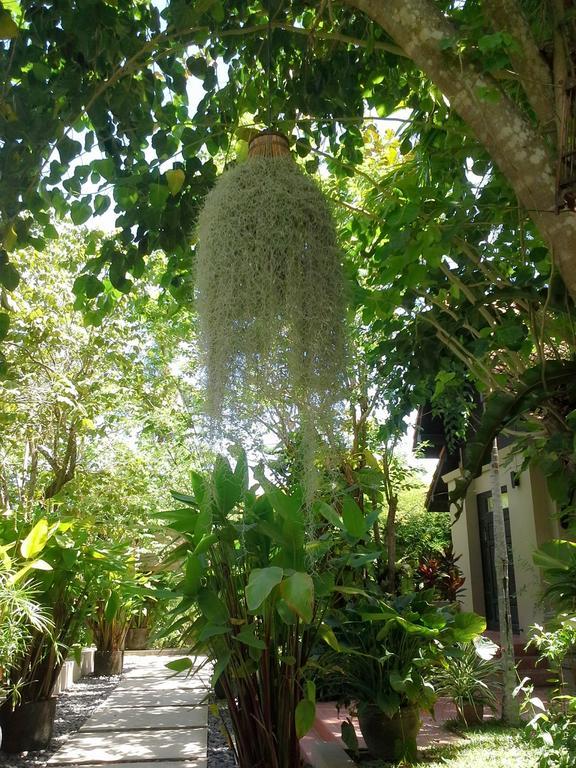 Montra Samui Thailand Lamai Beach (Koh Samui)