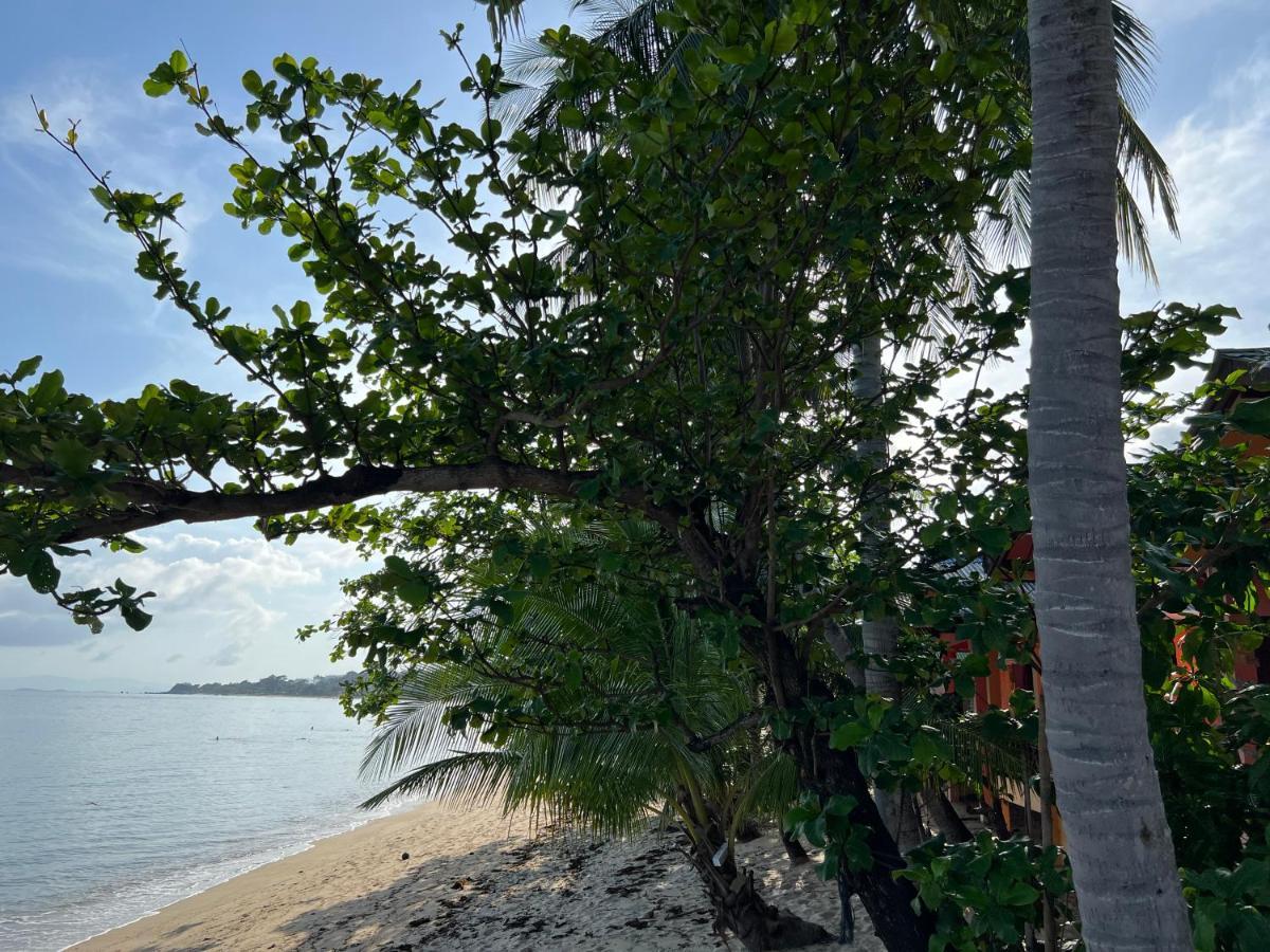 Wish Koh Samui