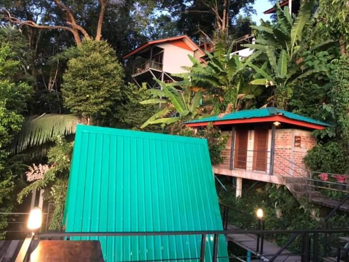 Phulipa Jungle Camp Campingplatz *