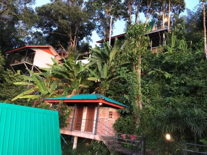 Phulipa Jungle Camp Campingplatz