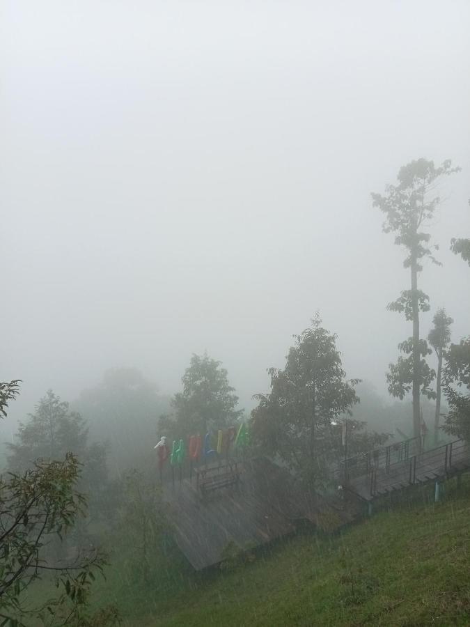 Phulipa Jungle Camp Campsite *