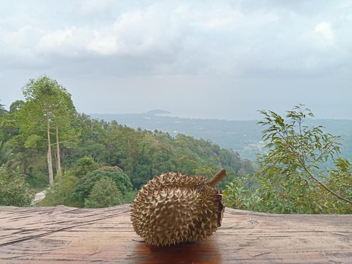 Phulipa Jungle Camp * Ko Samui